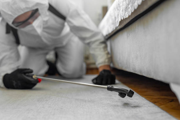 Professional Mosquito Control technician working in Cloverleaf, TX