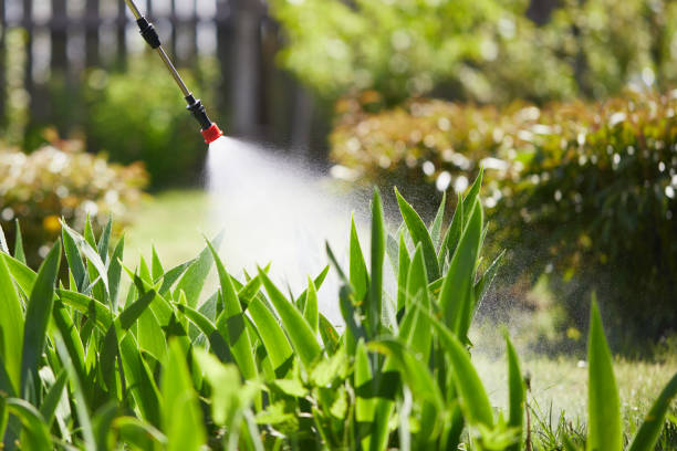 24/7 Emergency Mosquito Control experts in Cloverleaf, TX