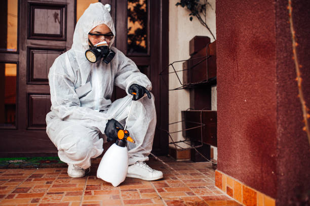 Reliable Mosquito Control contractor in Cloverleaf, TX by Nex Pest Control